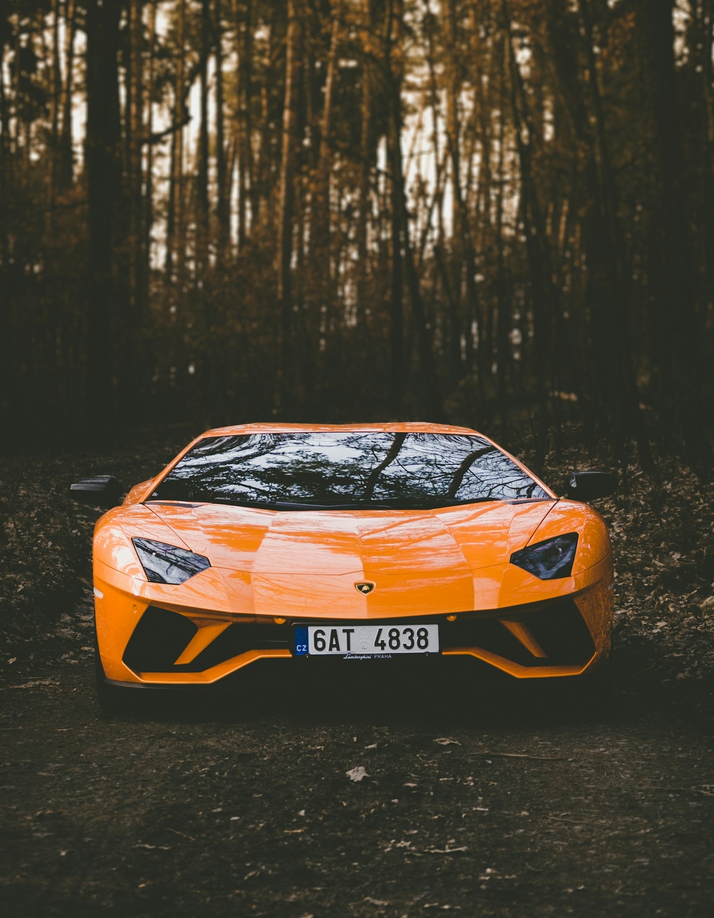 The Science of Comfort in Vehicle Interiors
